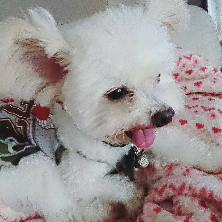 302d4e98 d568 4531 8b06 27c98107dd2e