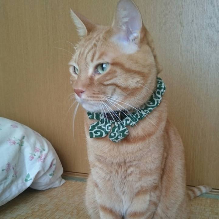 302d5495 7b63 4c26 9cc2 d7e55595d69e