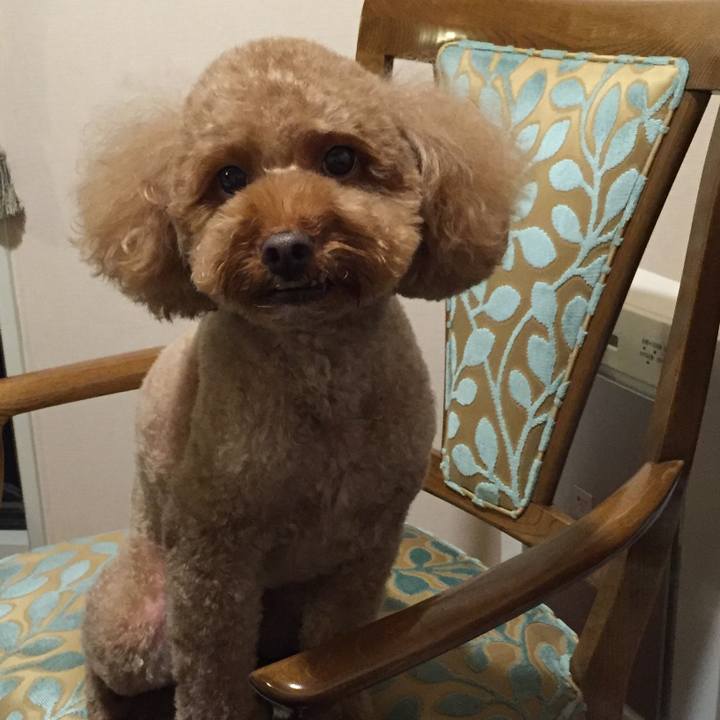 302d73f5 b40d 45ad ab26 398c1e48e7f9