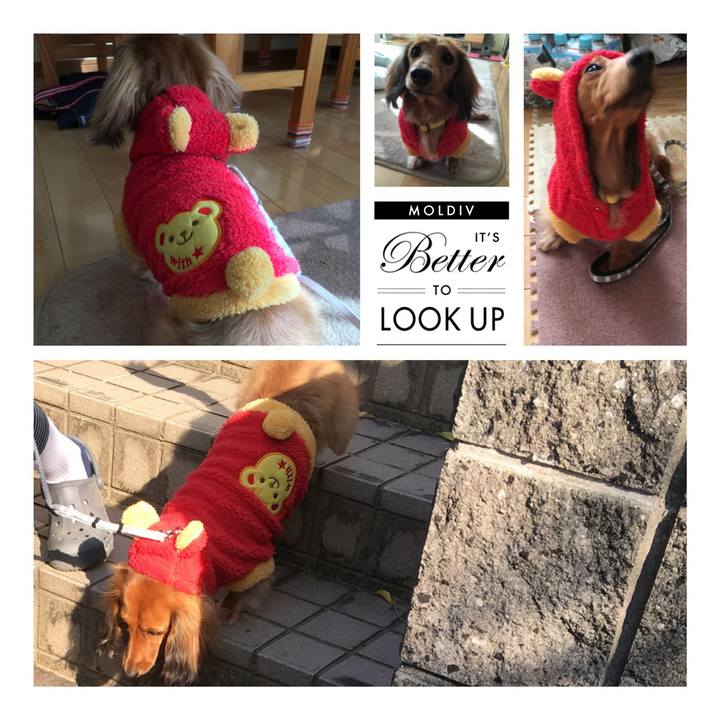 302d7e27 3a1e 4114 ab13 fcc4d683f657