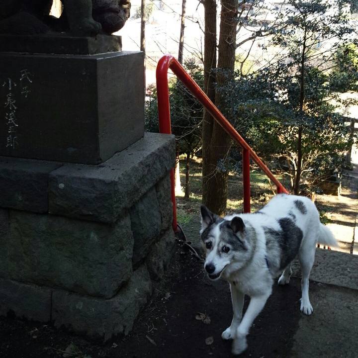 302dc42e b75b 4f7c aa68 1627e658b40d