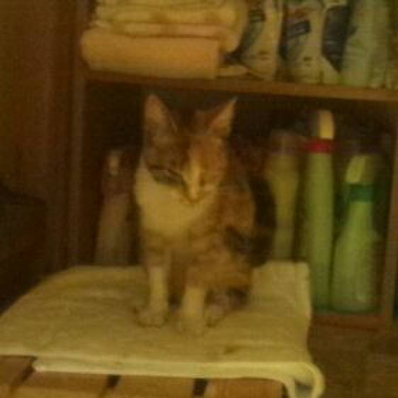 302e5c09 eb48 49b7 988c d596214c4d20