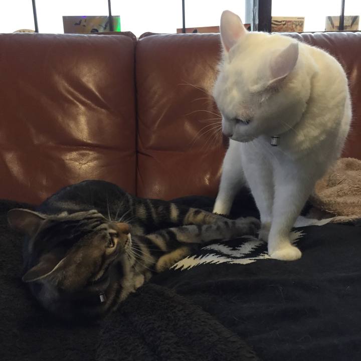 302f823e b531 4b61 a041 b2924aa26cad