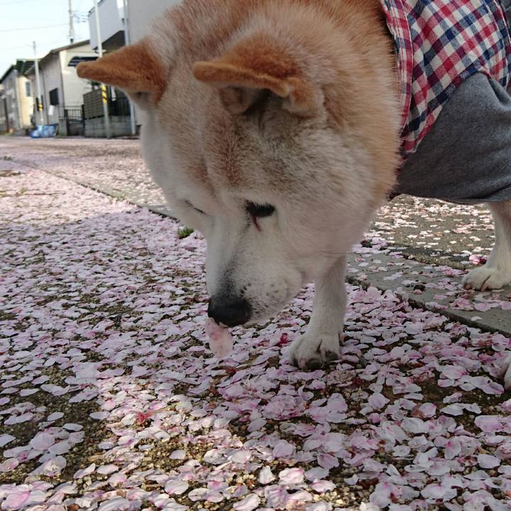 302f85c7 2ae6 49e6 b78b e75516000560