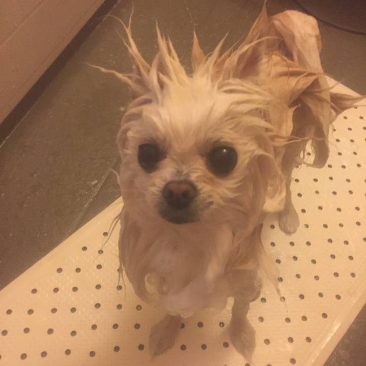 30300623 61c6 4746 994d aab252993a57