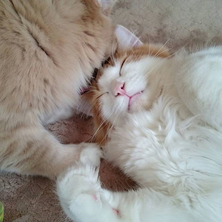 30307649 1dbf 496f 873c 98a2f1aed5b8