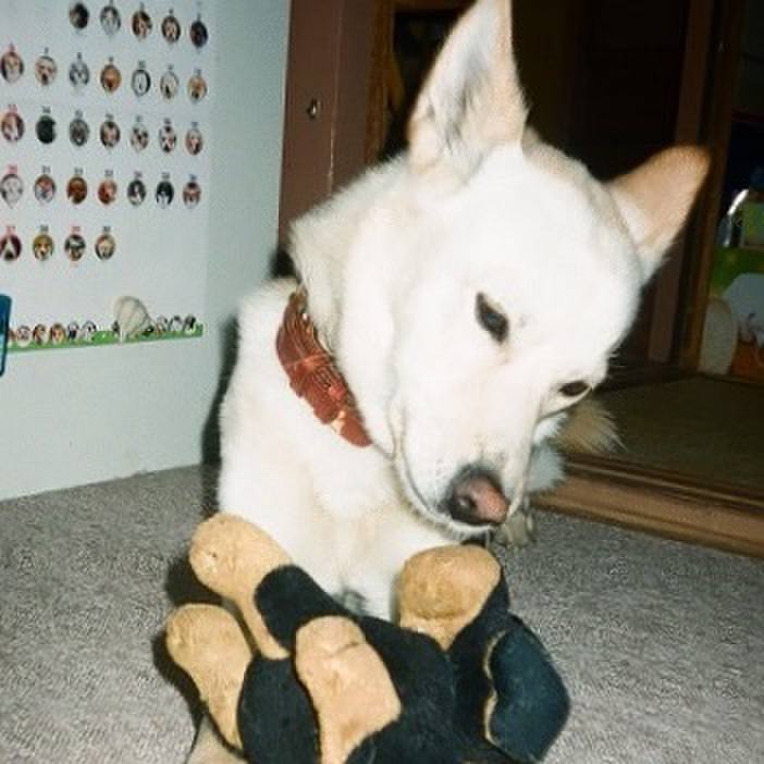 3030d38a e1fb 4946 9c28 f80911052625