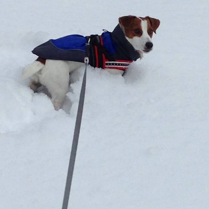 3031ab94 5159 48ed a853 cbfef2a6f14e