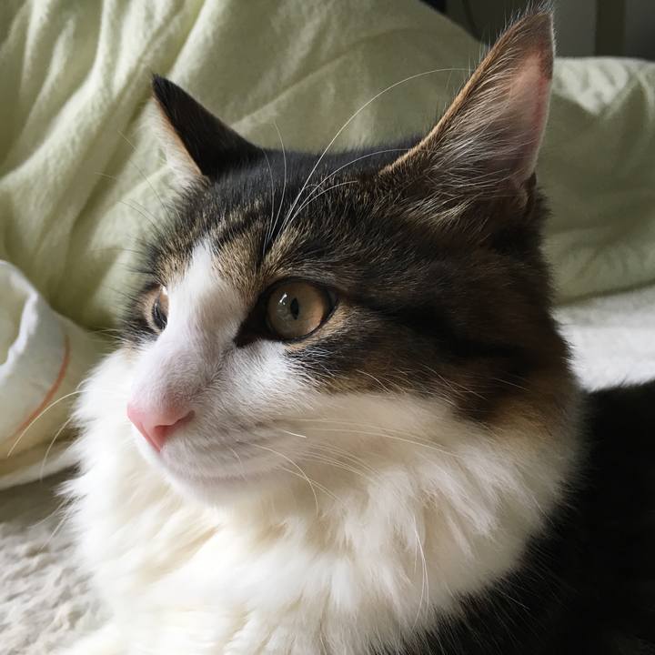 3031d7b8 a3cb 45cb bd89 bbadc6a44d9c