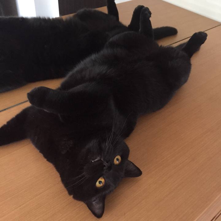 3031e9c4 c289 46d7 99f7 5c7ca7d085dd