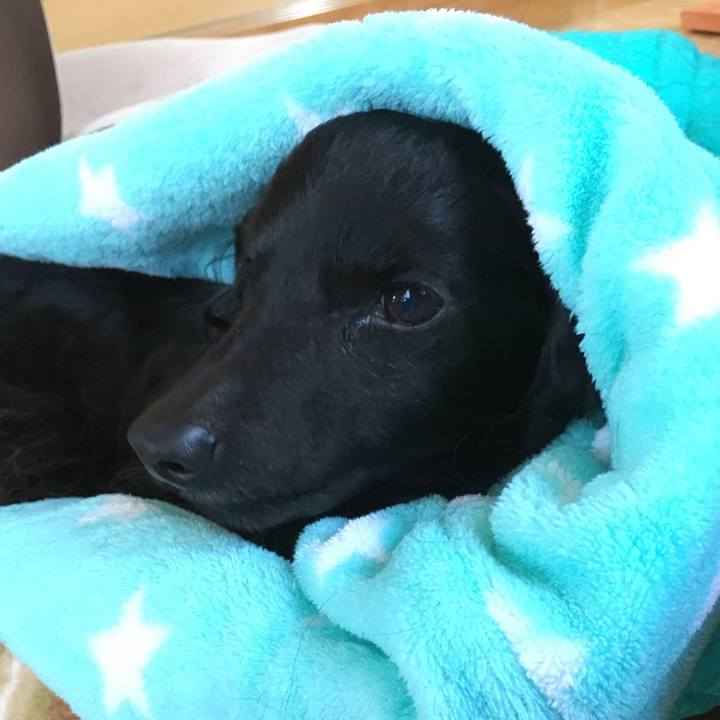 3032024f 3045 4e28 bfc7 2bebe6ab7e26