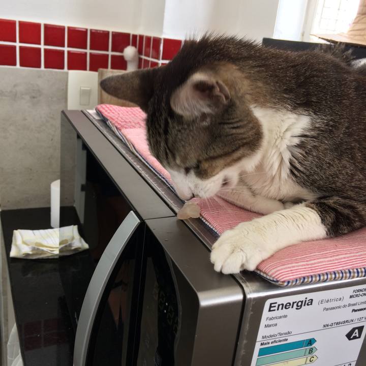 30329b80 f282 41f3 a7b7 5c25acec4e71