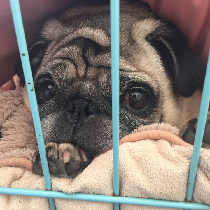 30330081 e3d1 49cf a4c9 cb6a5f9a1da9