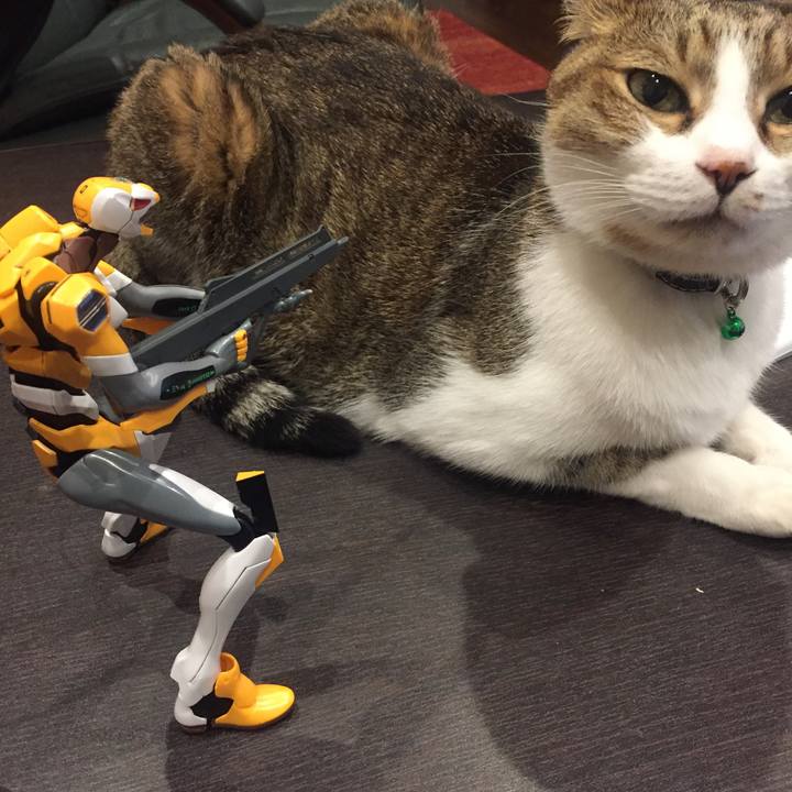 303318bb 0b36 426e 85ec 57f896c083af