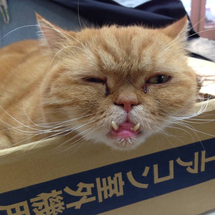 30331ea7 1531 4205 926c 8ed4fa8558d8