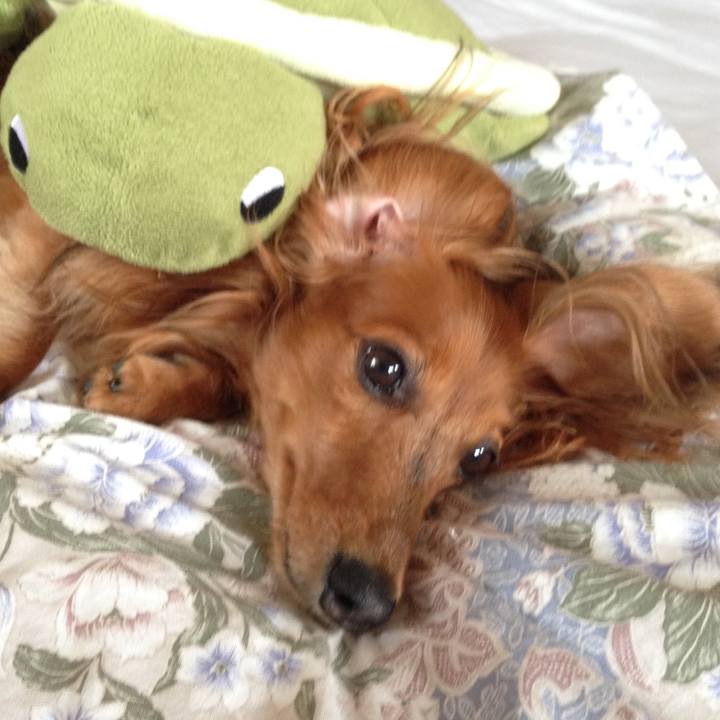 30332329 f95c 4651 aa39 09e9ba42b901