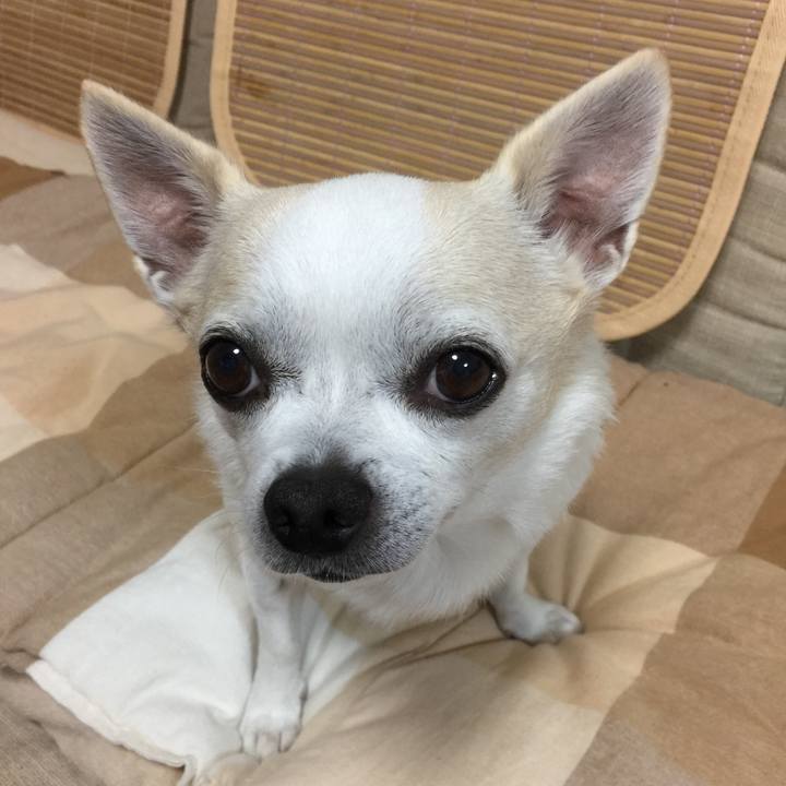 30332651 9d1c 4ec1 83df 5b4ff11e9ad5