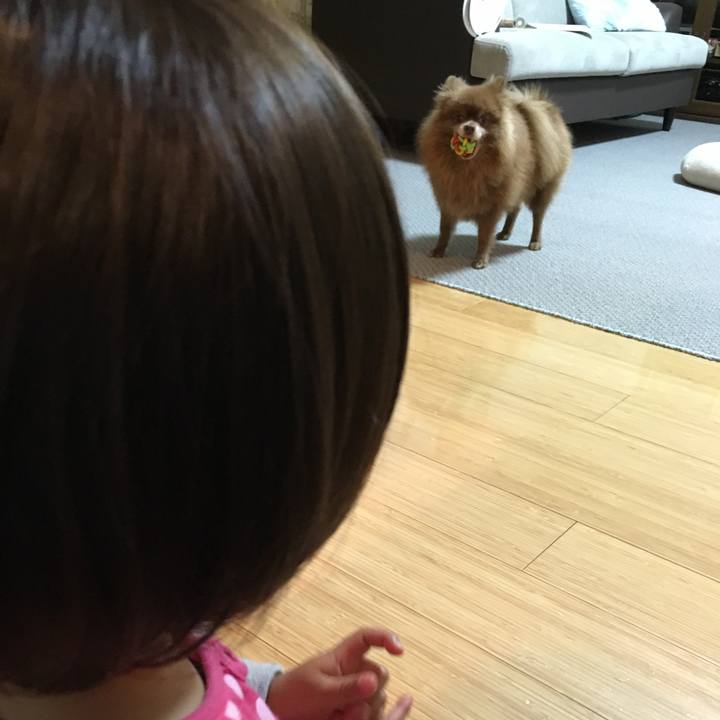 3033826d a2ea 4bbe 8a03 e1ac7232e5e8