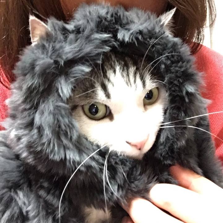 3033f121 7f25 4dda 96d5 5da78a41854a