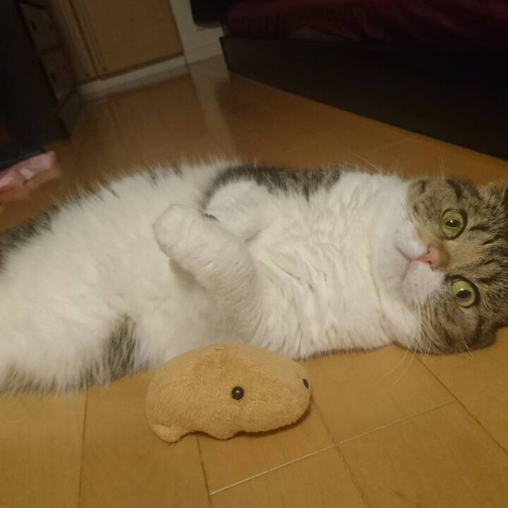 30346259 a23f 41d4 bb3e 68792096fee4