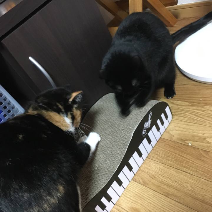 30348b29 f61d 45a5 9d53 a8842b93c4a5