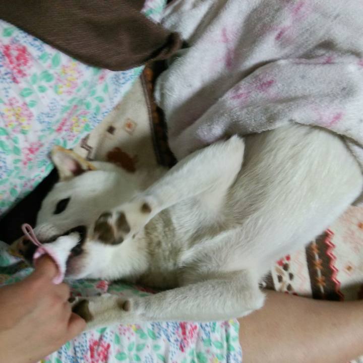 3034f3f9 6299 4a10 a3de 39dcf09f4b71