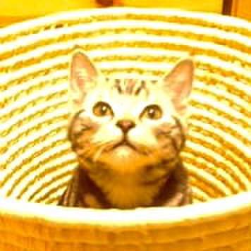 303500a7 e524 4e6c 9482 a6b3bbda3f51