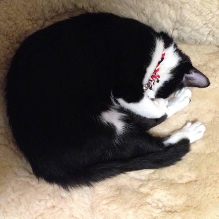 30356a5c 3f5e 4738 89da 0b722ca4c07f