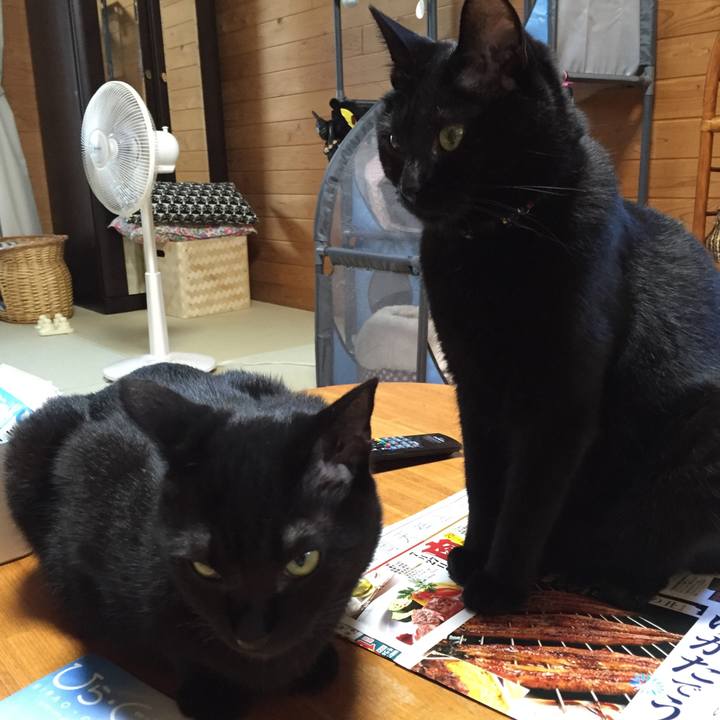 30357c78 7d28 438a b3c3 1672508eb90c