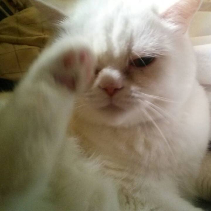 3035b534 3164 4b67 be01 18633133774c