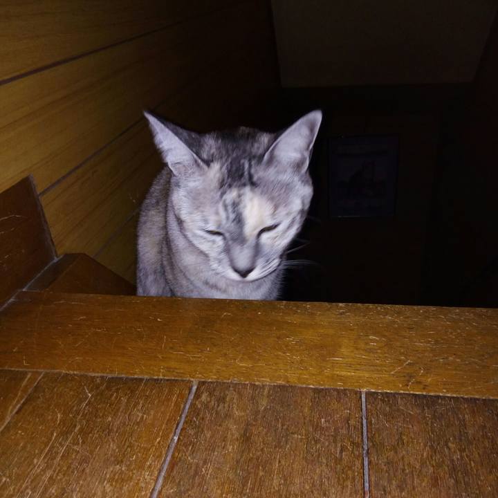 3035cf96 c169 45f9 8890 9669cf1d84ec