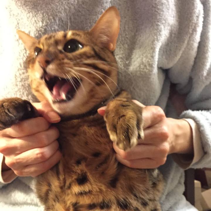 303668ec 7d3a 49cf 90dc c97cb082b9a7