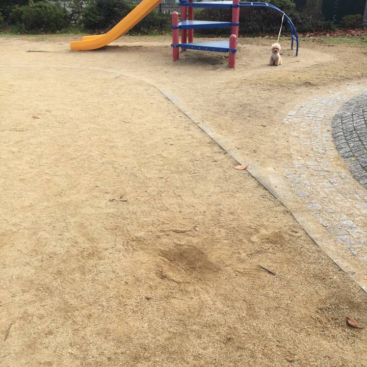 30371077 88c6 4da6 927b 870467cd9476