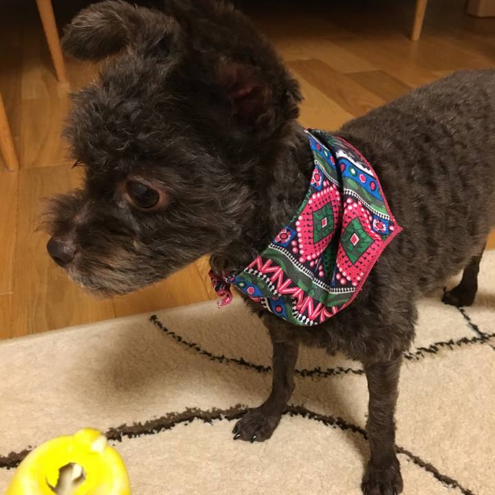 3037b79d 714f 42c1 9820 f374b75f89c4