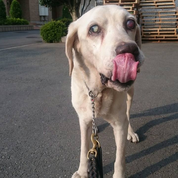 3037ecf3 3fb8 45df bed3 0344e1277d42