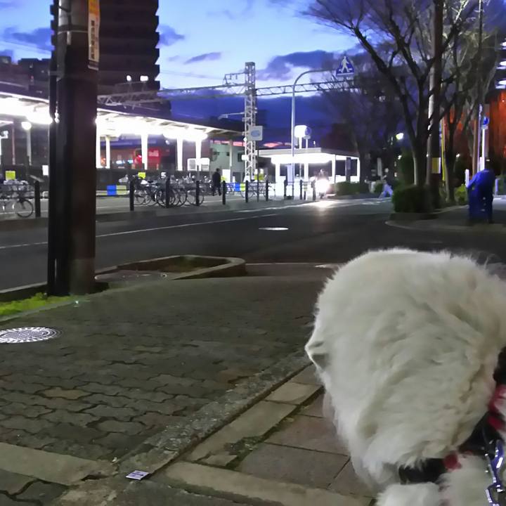 3037f6fd 4ac1 4771 81c7 3cbb726f2be4