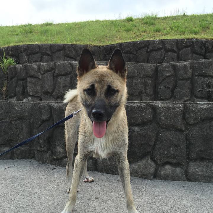 30380ffe b821 4437 8ec7 90a70998135c