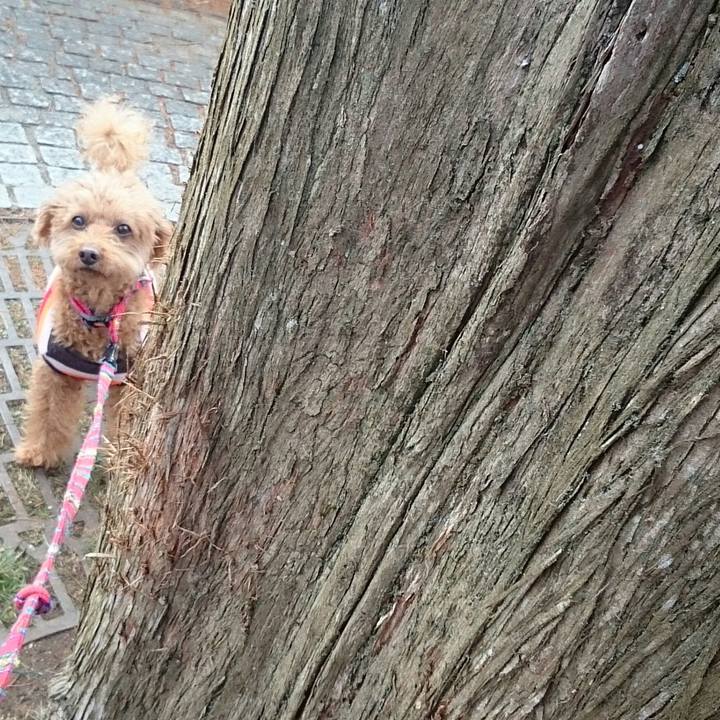 303835bd 1574 4729 a665 deedde81b244