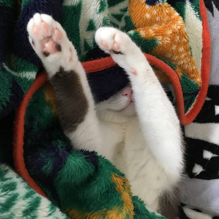 3038700f a5cc 4cde a79e ab9e57800877