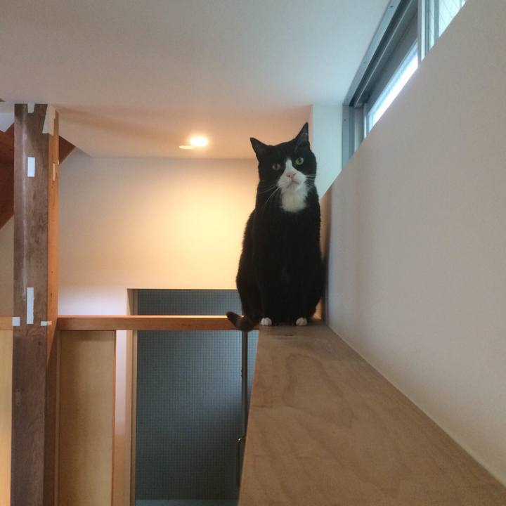 30391d6e 9521 4870 8a88 200f537a99c0