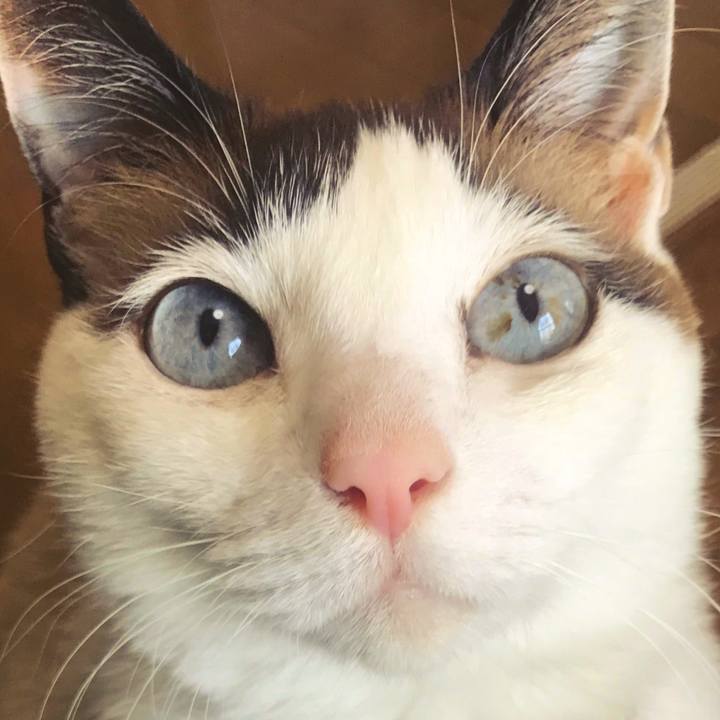 30394a2d fe6f 41bd a4a4 378c49b02a46