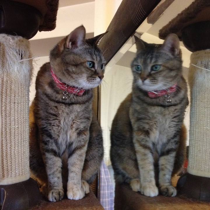 303979b3 14bb 41e9 820e 021897063e3e