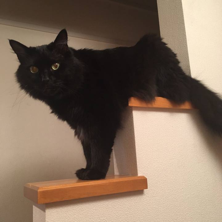 303a0a19 8f35 4c0d 8a2a 159346f6ad88