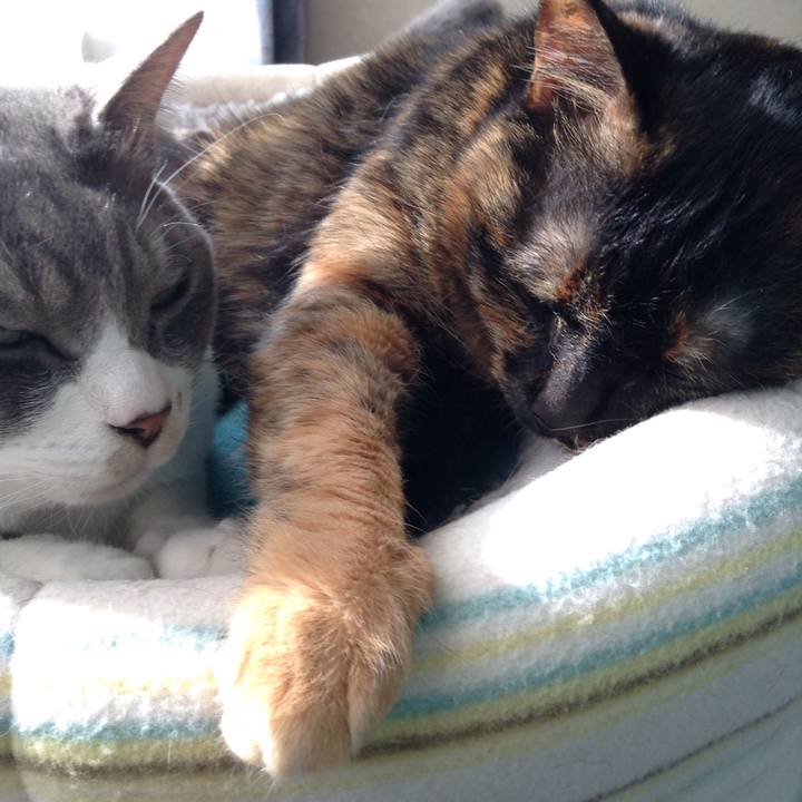 303a1d0a 4b3b 4a53 95aa ecfde426ac25