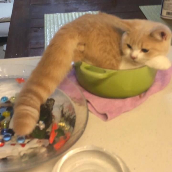 303afed9 7c18 4f6a bf50 c3ddef9aad71