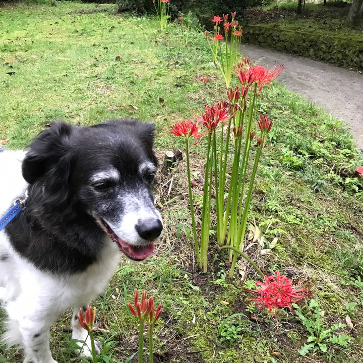 303b473f 6943 4576 8004 ad228736b3b2