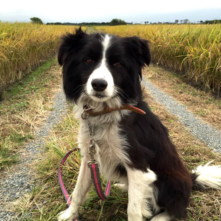 303bd7d7 586b 4691 8b05 d83a243322e7