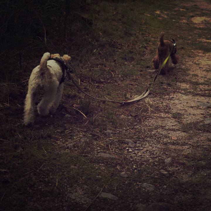 303bd8cd 79d2 4b53 9873 3445b9763fd5