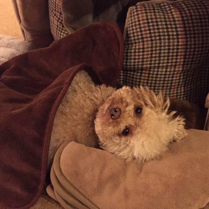 303c5e95 43a5 42b4 b2cf 54f65ca4262e