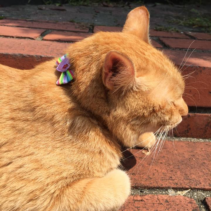 303ce95e dac5 4ee9 b875 cbf7a8d51c4a